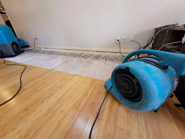 Professional Structural Drying technician working in La Vergne, TN